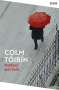 Colm Toibin: Mothers and Sons, Buch