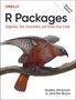 Hadley Wickham: R Packages, Buch