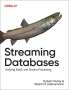 Hubert Dulay: Streaming Databases, Buch