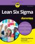 Martin Brenig-Jones: Lean Six Sigma For Dummies, Buch