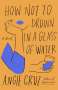 Angie Cruz: How Not to Drown in a Glass of Water, Buch