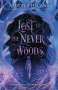 Aiden Thomas: Lost in the Never Woods, Buch