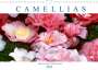 Dieter Meyer: Camellias (Wall Calendar 2022 DIN A4 Landscape), KAL