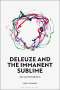 Louis Schreel: Deleuze and the Immanent Sublime, Buch