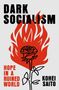 „DARK SOCIALISM“ oben, „HOPE IN A RUINED WORLD“ links, „KOHEI SAITO“ rechts. Illustration: Rose in Flammen.