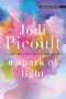 Jodi Picoult: A Spark of Light, Buch