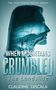 Text: "When Mountains Crumbled: The Landslide" von Claudine Discala. Silhouette mit Landschaftsbild und Rissen., Buch
