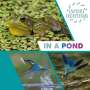 Sarah Ridley: Explore Ecosystems: In a Pond, Buch