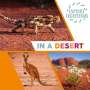 Sarah Ridley: Explore Ecosystems: In a Desert, Buch