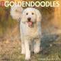 Willow Creek Press: Just Goldendoodles 2022 Wall Calendar (Dog Breed), KAL