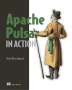 David Kjerrumgaard: Apache Pulsar in Action, Buch