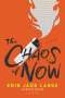 Erin Jade Lange: The Chaos of Now, Buch