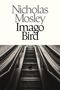 Nicholas Mosley, Imago Bird. Eine Taube sitzt auf Treppen zwischen zwei leeren Rolltreppen.