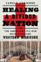Carole Adrienne: Healing a Divided Nation: How the American Civil War Revolutionized Western Medicine, Buch