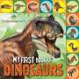 Grace Baranowski: Smithsonian: My First Book of Dinosaurs, Buch