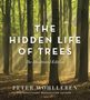 Peter Wohlleben: The Hidden Life of Trees: The Illustrated Edition, Buch