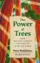 Peter Wohlleben: The Power of Trees: How Ancient Forests Can Save Us If We Let Them, Buch