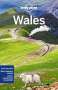 Peter Dragicevich: Wales, Buch