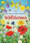 Caroline Young: Mein Immer-wieder-Stickerbuch: Wildblumen, Buch