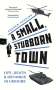 Andrew Harding: A Small, Stubborn Town, Buch
