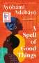 Ayobami Adebayo: A Spell of Good Things, Buch