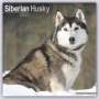 : Siberian Husky - Sibirische Huskys 2023 - 16-Monatskalender, KAL