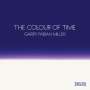 Marina Warner: Colour of Time: Garry Fabian Miller, Buch