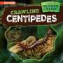 Theresa Emminizer: Crawling Centipedes, Buch