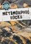 Anna McDougal: Metamorphic Rocks, Buch