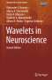 Alexander E. Hramov: Wavelets in Neuroscience, Buch