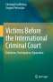 Gurgen Petrossian: Victims Before the International Criminal Court, Buch