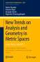 Giuseppe Savaré: New Trends on Analysis and Geometry in Metric Spaces, Buch