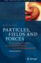 Wouter Schmitz: Particles, Fields and Forces, Buch