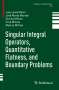 Juan José Marín: Singular Integral Operators, Quantitative Flatness, and Boundary Problems, Buch