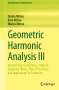 Dorina Mitrea: Geometric Harmonic Analysis III, Buch