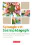 Katrin Diekert: Sprungbrett Sozialpädagogik. Handlungsfeld 06: Betreuung und Versorgung von Kindern - Schülerbuch, Buch