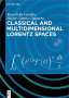René Erlin Castillo: Classical and Multidimensional Lorentz Spaces, Buch