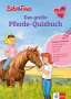 : Bibi & Tina: Das große Pferde-Quizbuch mit Bibi und Tina, Buch