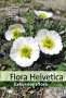 Stefan Eggenberg: Flora Helvetica - Exkursionsflora, Buch