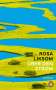Rosa Liksom: Über den Strom, Buch