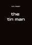 Eric Seger: the tin man, Buch