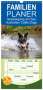 Fotodesign Verena Scholze: Familienplaner 2024 - Spaziergang am See Australian Cattle Dogs mit 5 Spalten (Wandkalender, 21 x 45 cm) CALVENDO, Kalender