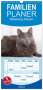 Fotodesign Verena Scholze: Familienplaner 2024 - Nebelung Katzen mit 5 Spalten (Wandkalender, 21 x 45 cm) CALVENDO, Kalender