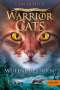 Erin Hunter: Warrior Cats - Vision von Schatten. Wütender Sturm, Buch