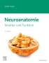 Martin Trepel: Neuroanatomie, Buch