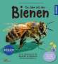 Tobias Miltenberger: Ein Jahr mit den Bienen, Buch