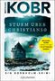 "Sturm über Christiansø" von Michael Kobr. Ein Leuchtturm im Sturm, umgeben von Wasser und einer dänischen Flagge., Buch