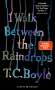 T. C. Boyle: I walk between the Raindrops. Storys, Buch