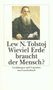 Leo N. Tolstoi: Wieviel Erde braucht der Mensch?, Buch, Buch