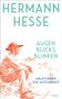 HERMANN HESSE
AUGEN
BLICKS
BLINKEN
ANLEITUNGEN
ZUR ACHTSAMKEIT
Illustration: Mann mit Hut sitzt und denkt nach., Buch